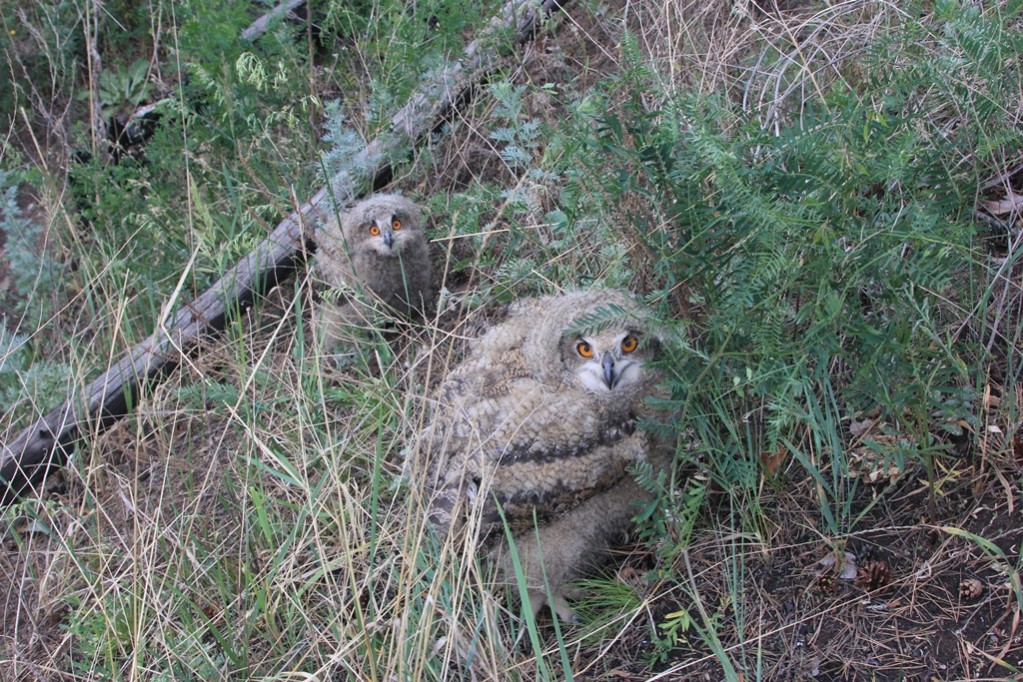 � ������� ������ ���� ��� ��������� ������ ������������������ ����� '��������' ������� ���������� ����������� ������, ��������� � ������� ����� ���������� ��������� � ���������� ��������� ����� ����, ����� ��� �����-��������� � ������.