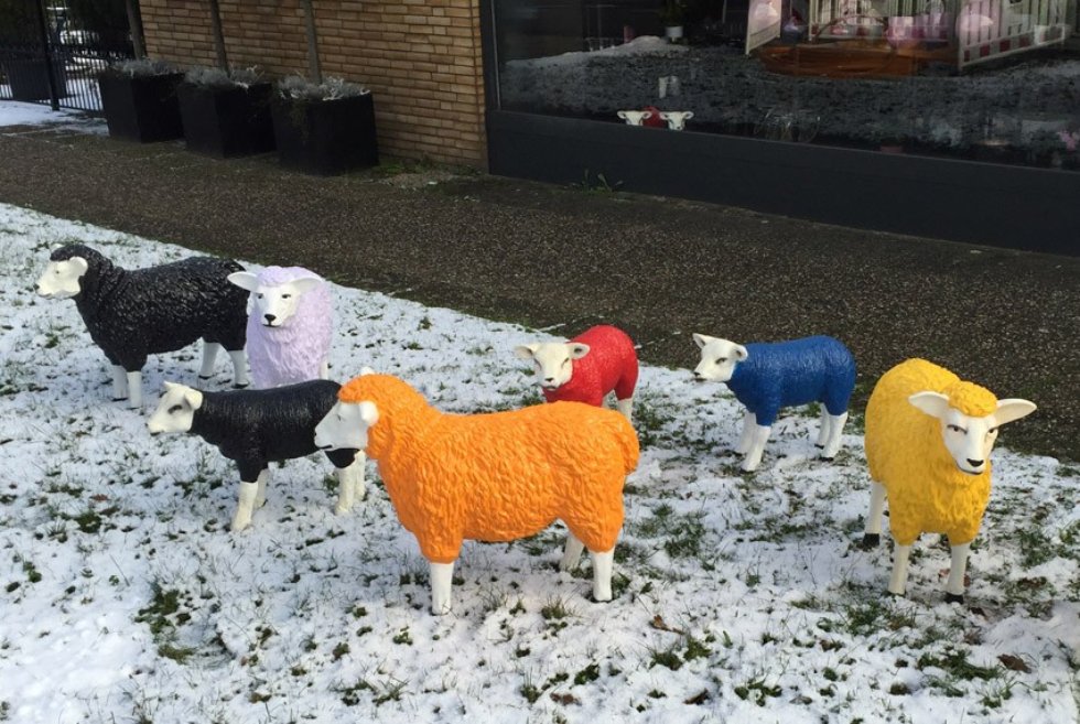 ������� ���������� � ��������� �������� ����������� �������� ����������� ������������