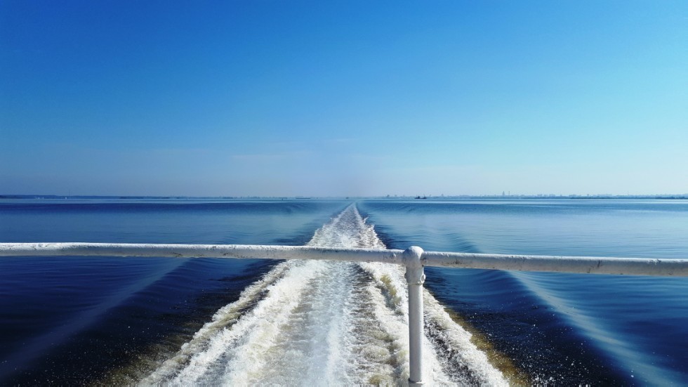 ������ - '����������' (2018�.)