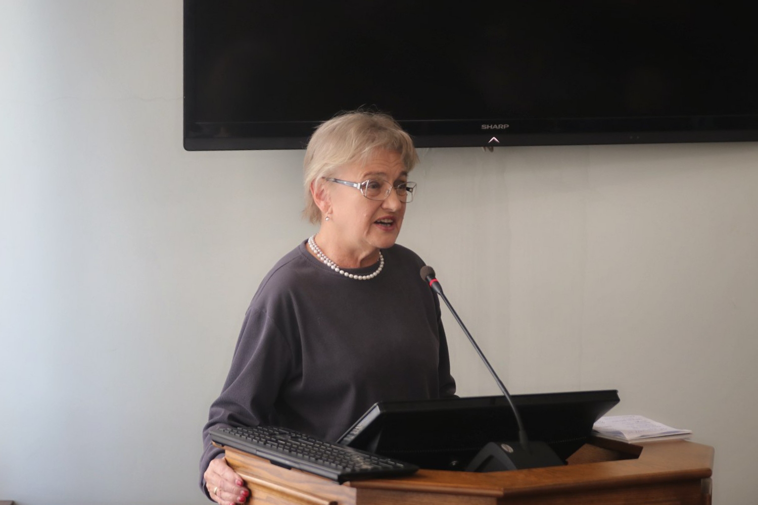 В рамках IV Казанского международного юридического форума прошла панельная сессия: В рамках IV Казанского международного юридического форума прошла панельная сессия: