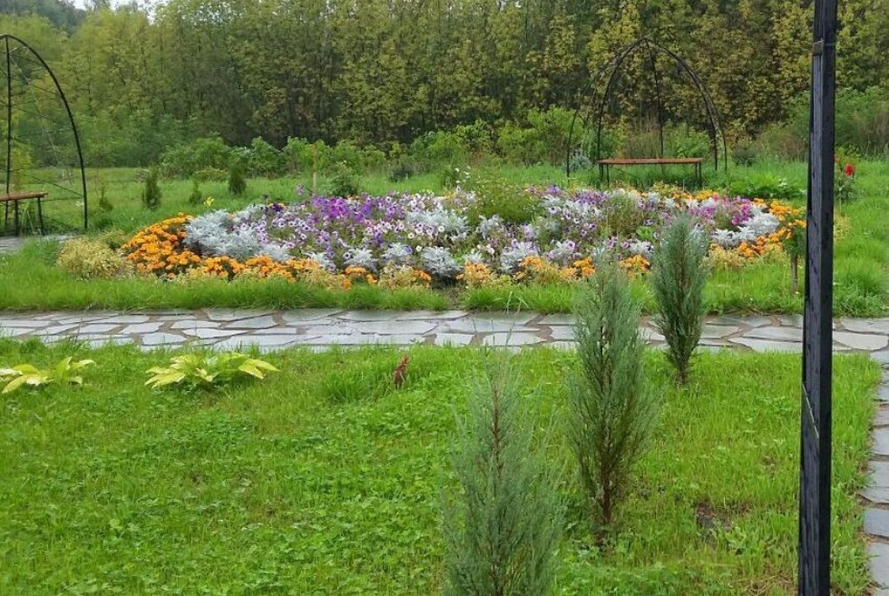 ��������