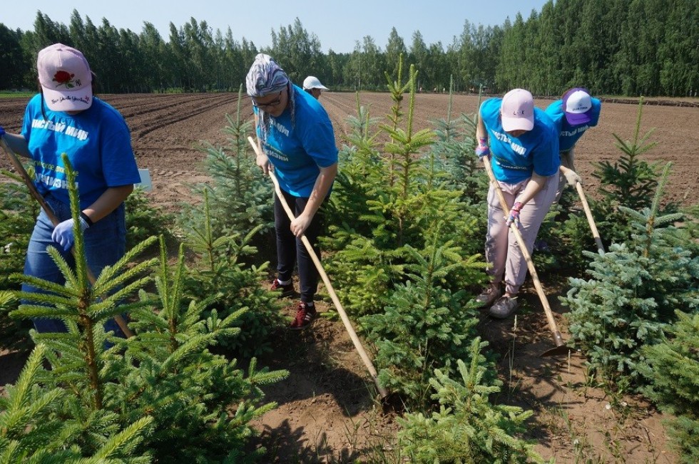 ��������� ���� ���������� � ������������ ����� '������ ����'