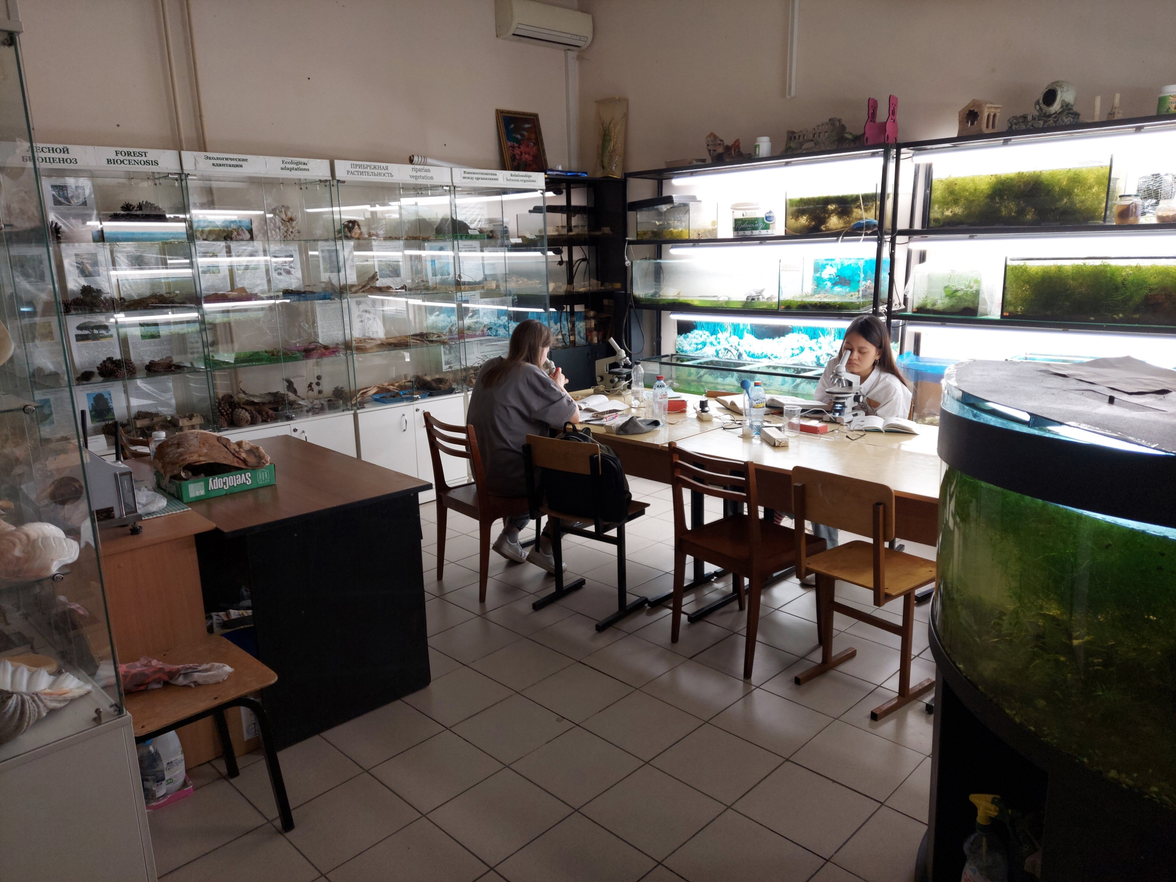 Мероприятия Мероприятия