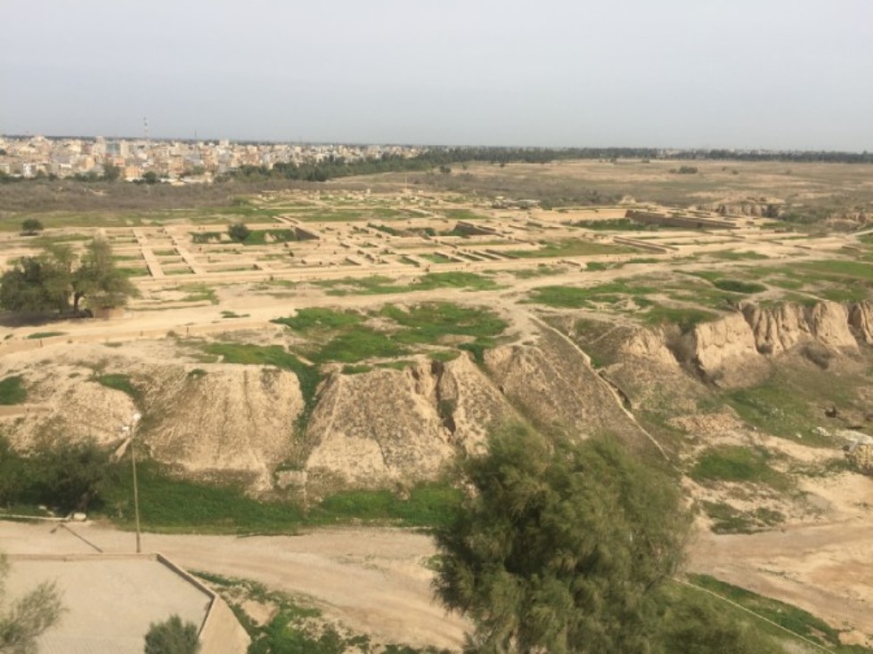 '�����������' ���������� � �������?