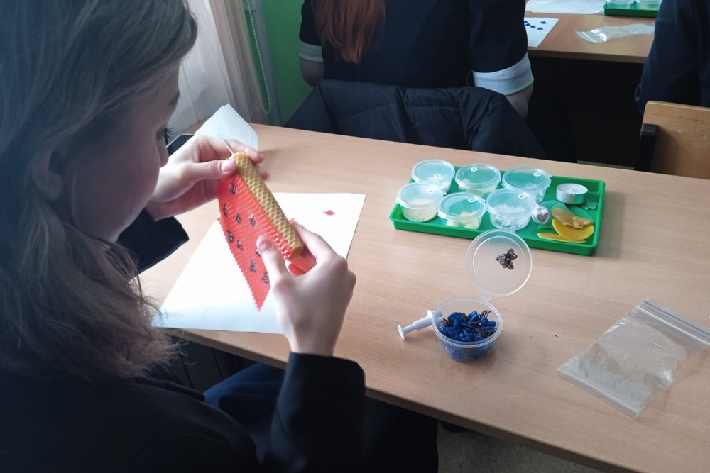 Студенты СНК 'Проспект БИО' рассказали школьникам о секретах изготовления свечей Студенты СНК 'Проспект БИО' рассказали школьникам о секретах изготовления свечей