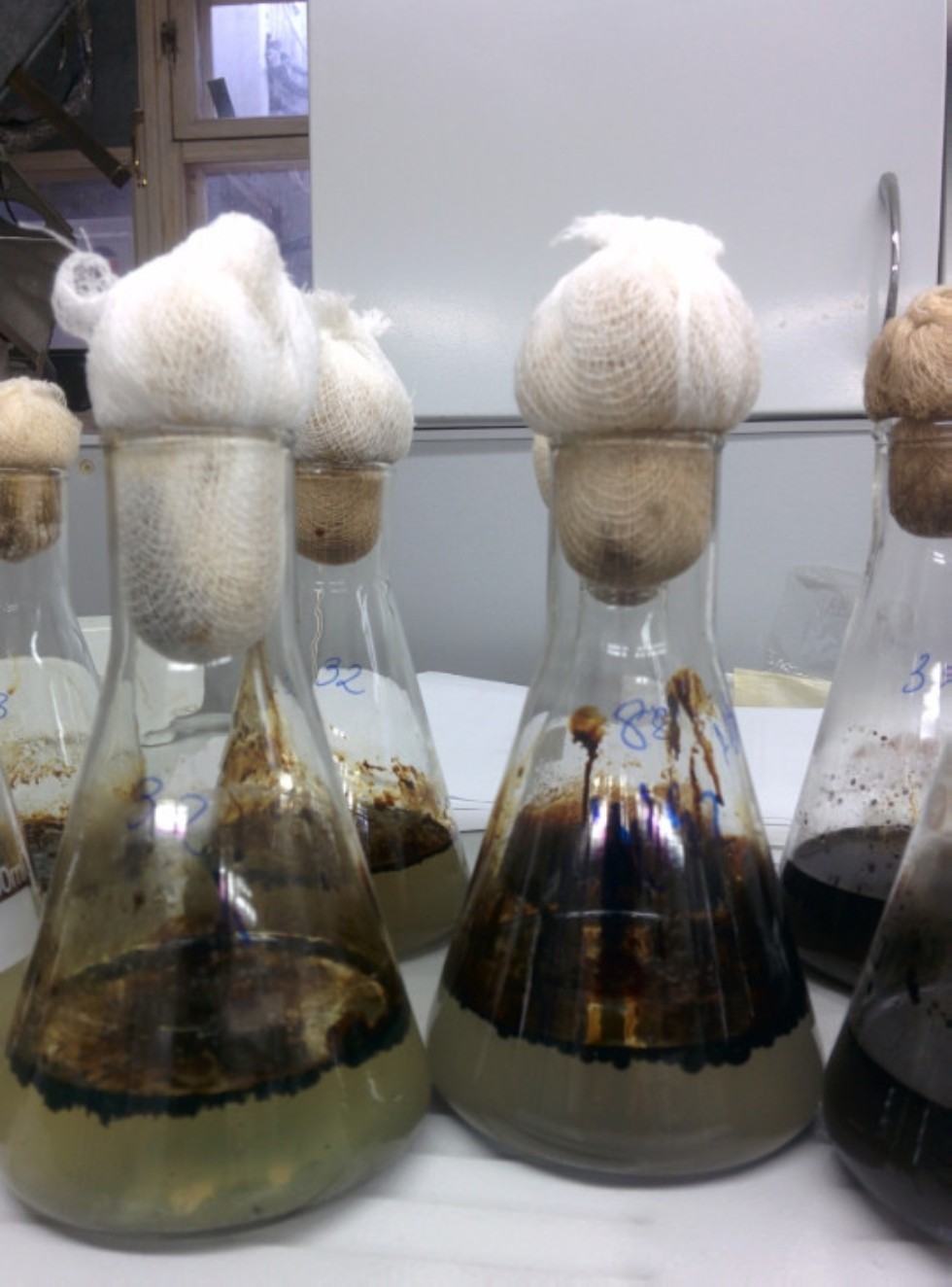 ����� ����������