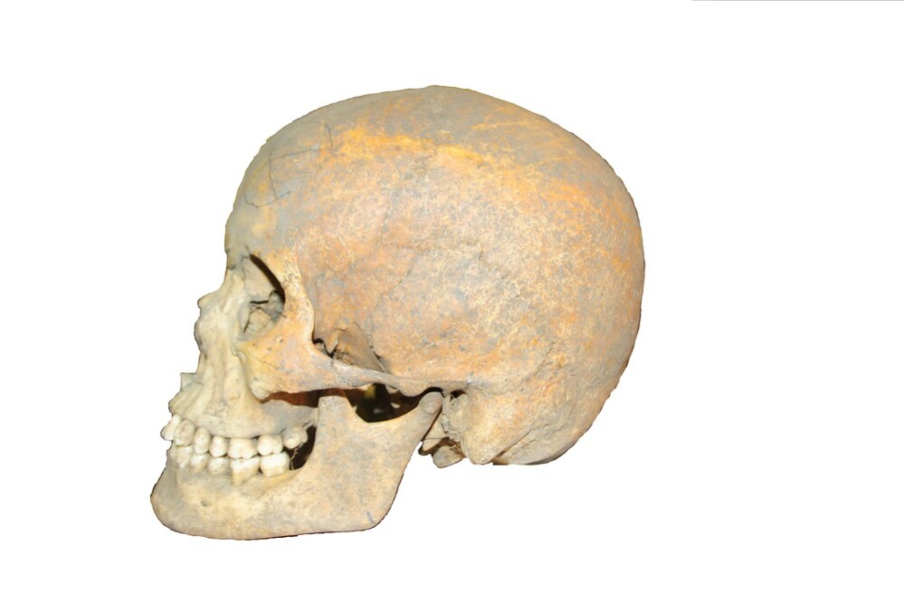 Облик средневекового населения Поволжья восстановлен по исследованию Елабужского института КФУ Облик средневекового населения Поволжья восстановлен по исследованию Елабужского института КФУ