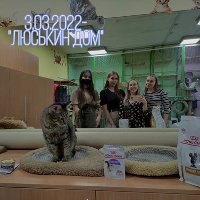 Социальный комитет Социальный комитет