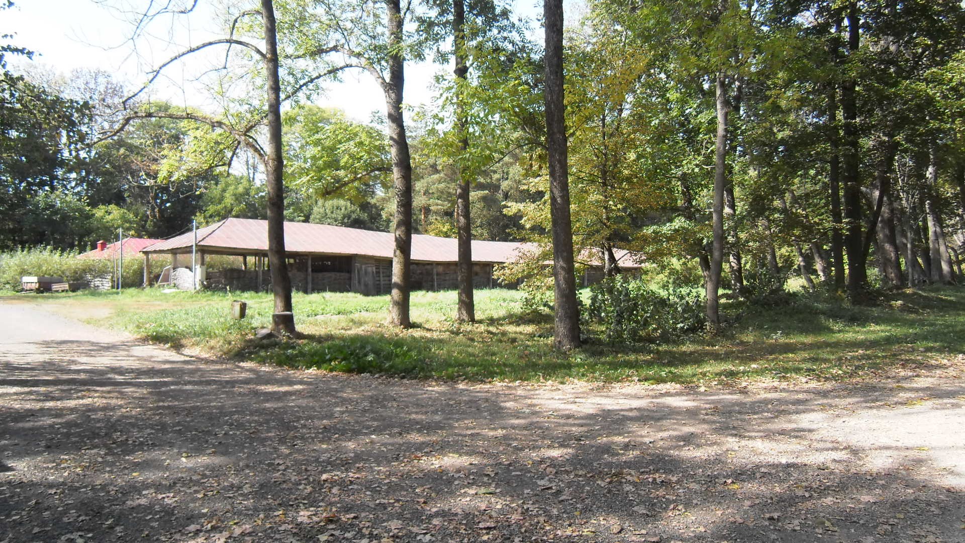 ��� �� �������� �������� ���� ��������