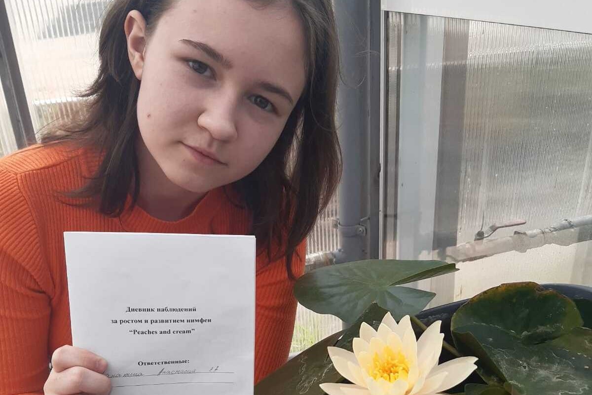 Проект по выращиванию нимфей в ОШ 'Университетская' Проект по выращиванию нимфей в ОШ 'Университетская'