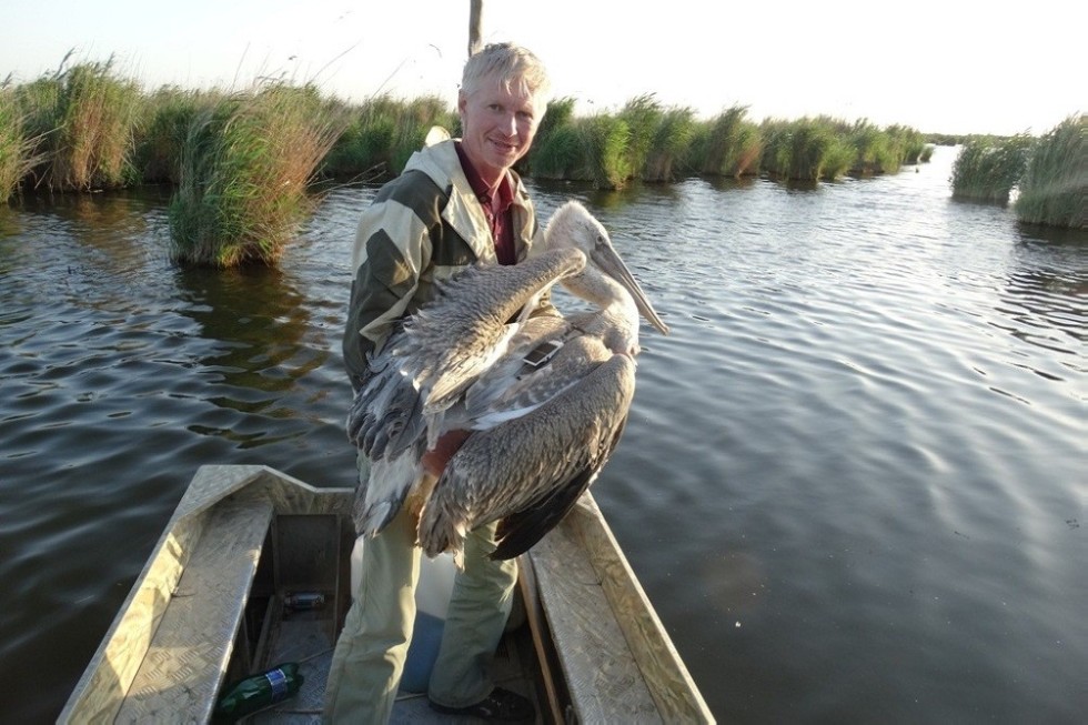 ��������� ����������� ��������� ��� �������� �� ���������� � ��������