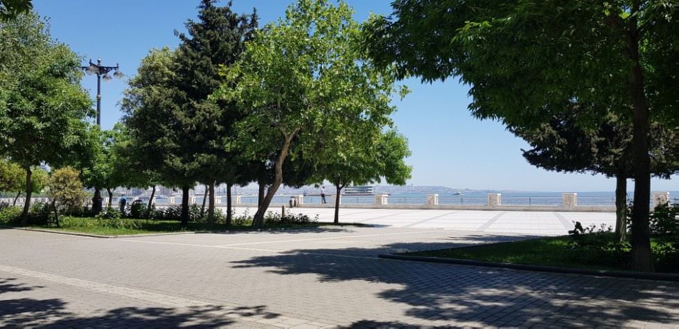 ��������� ���������� ������������ �.�. �������� ������� ������� � ������������� �����������, ����������� �������� �������������� ��������������� ��������������� ����������