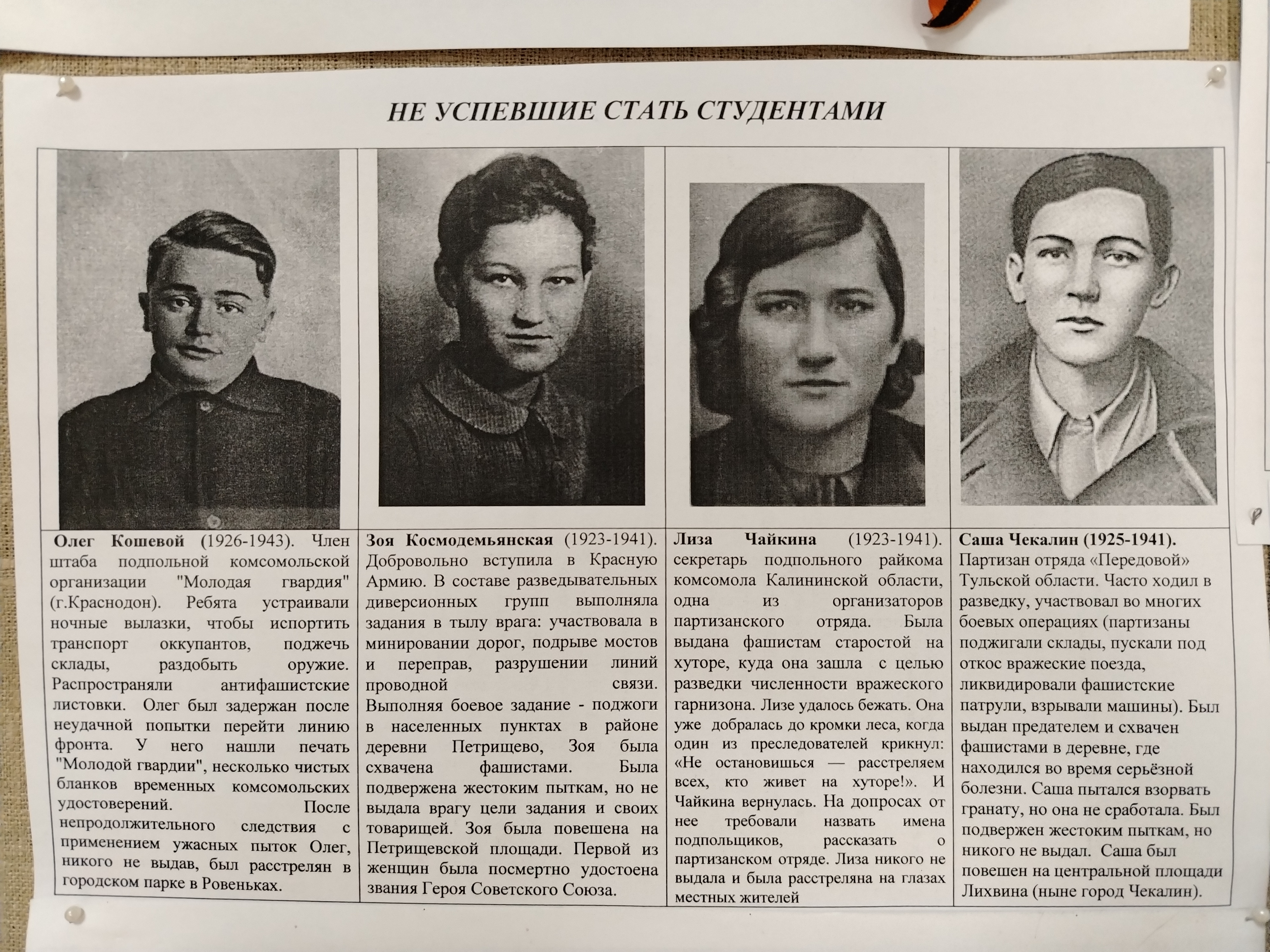 Они сражались за Родину Они сражались за Родину