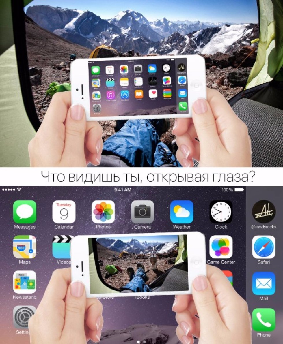 ������� '���������� ������� 2016'