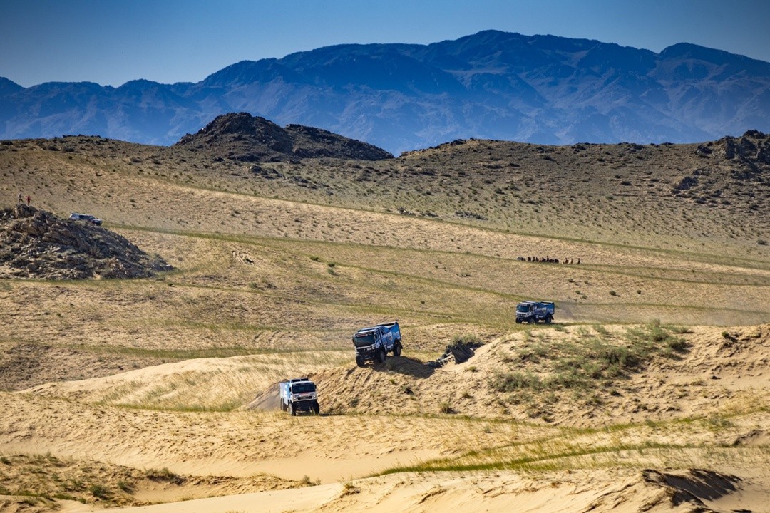          - 'ظ ' , «-», «ظ », «ظ »