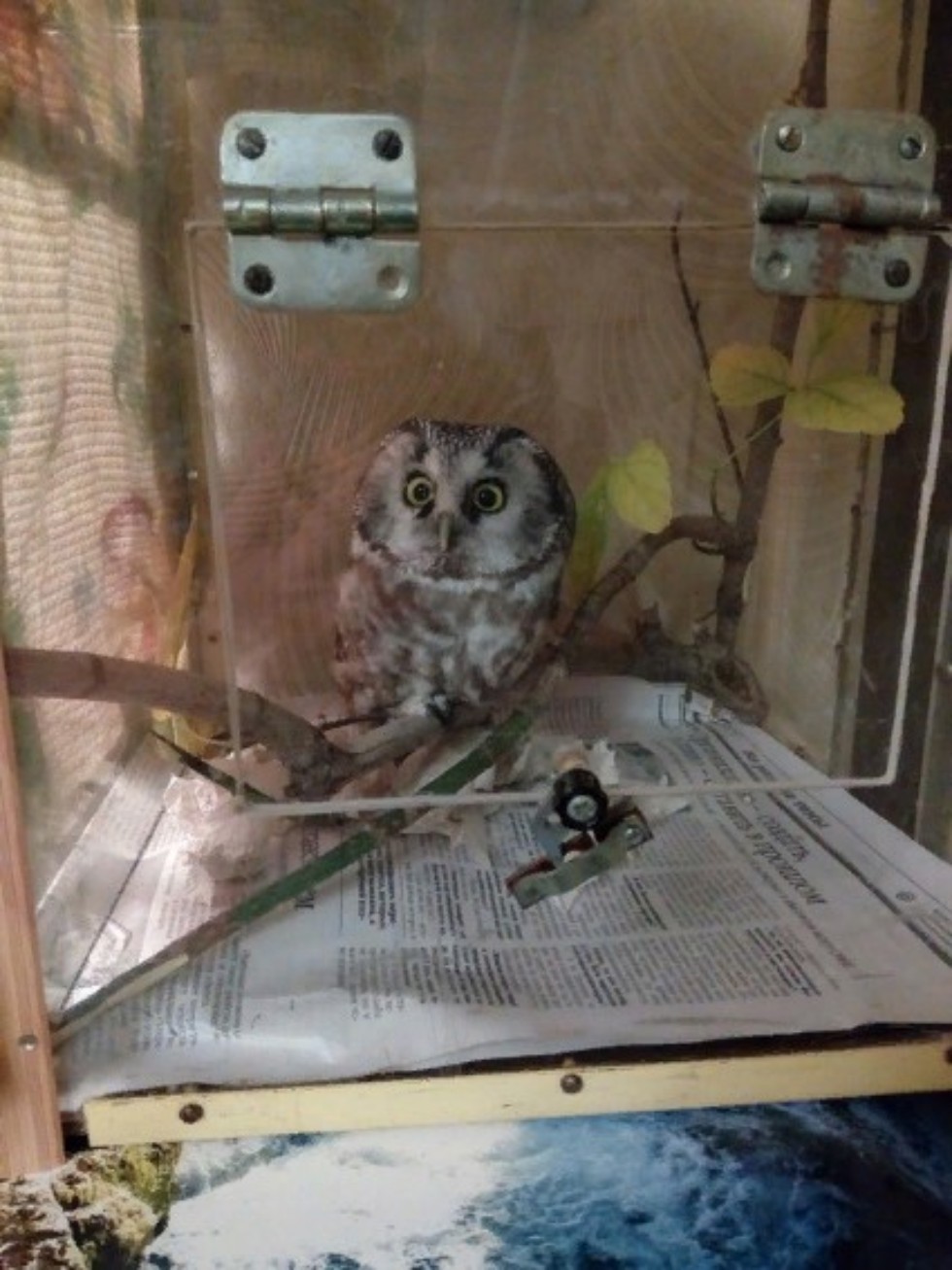 �������� ������