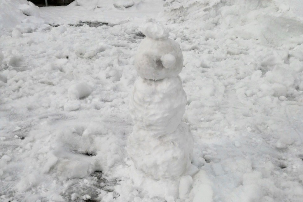 Весна идет! Весне - дорогу! Весна идет! Весне - дорогу!