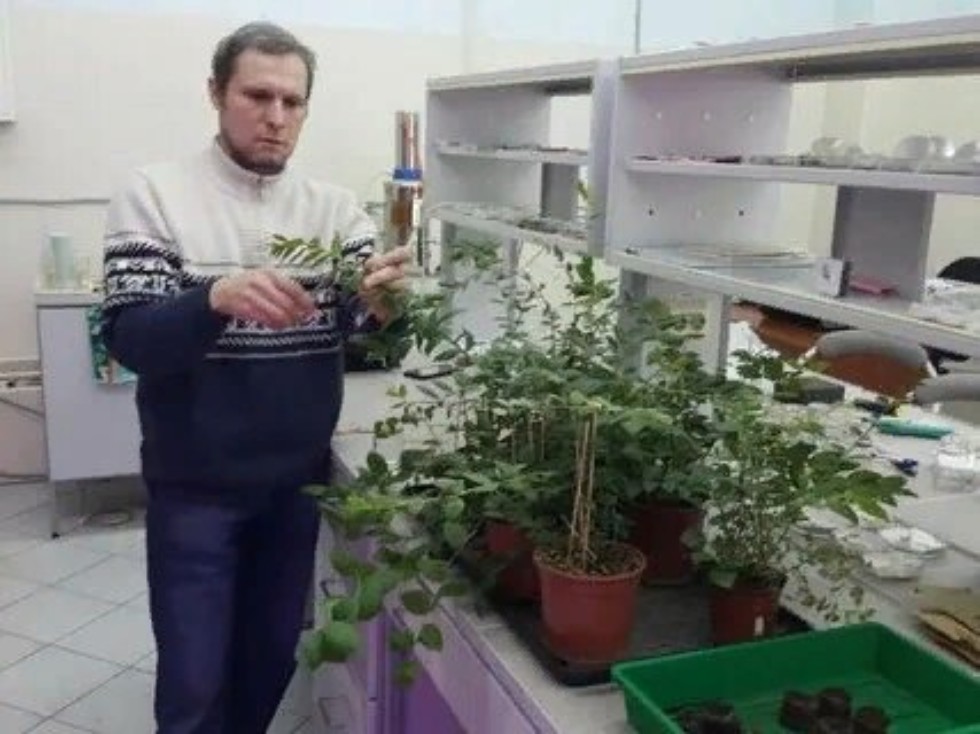 Ждем вас в магистратуре Ждем вас в магистратуре