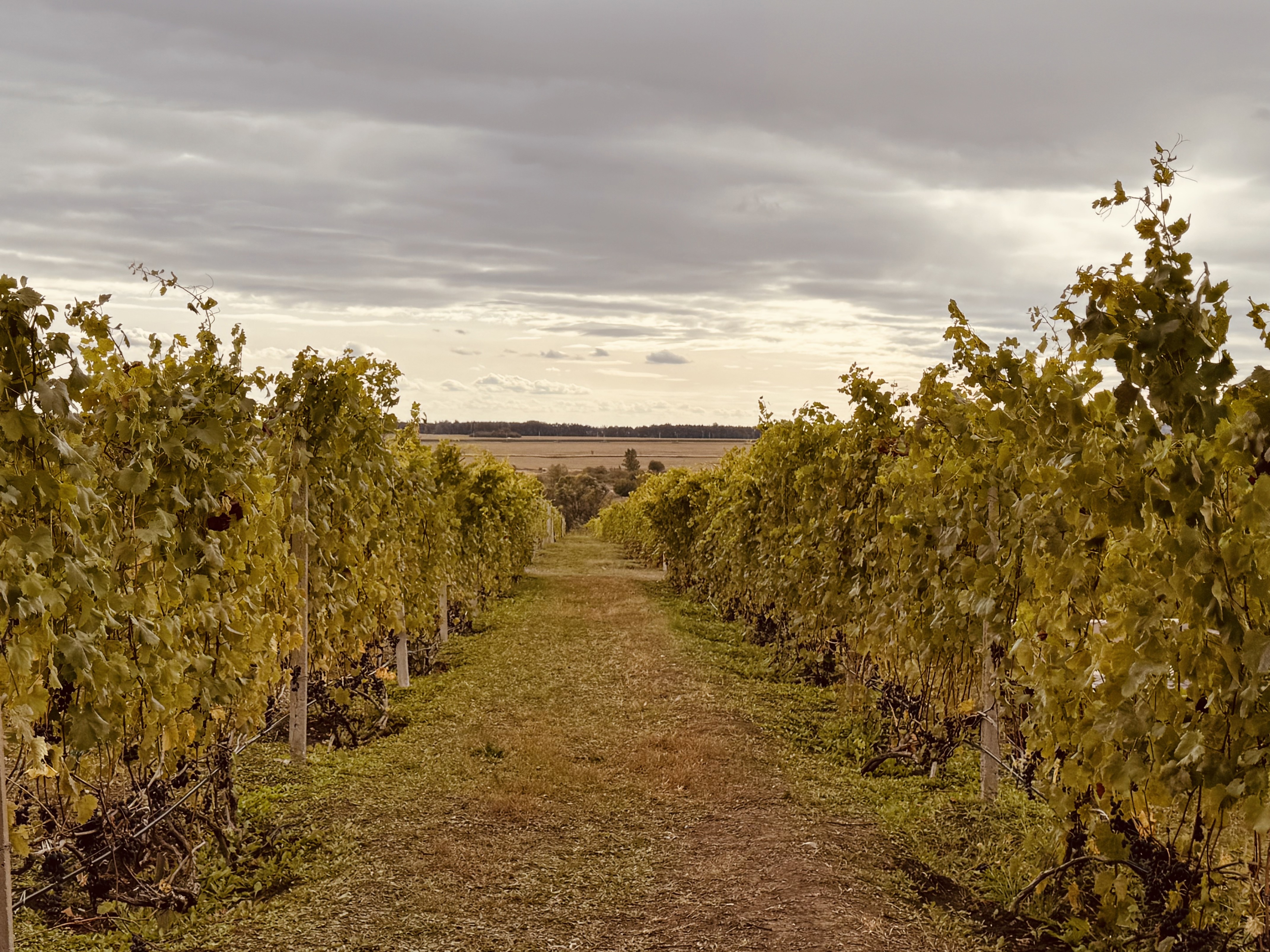 Представители Совета ветеранов КФУ посетили жемчужину Татарстана - Камское Устье Представители Совета ветеранов КФУ посетили жемчужину Татарстана - Камское Устье