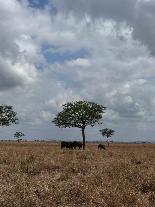 ��������� ����������� ��� ��������� �������� �������� ������ ������ �������� ���������� � ��������