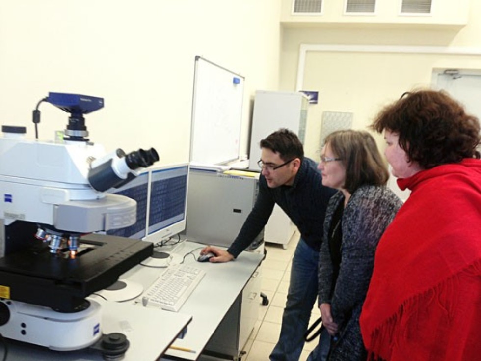 ������� ������� ��������