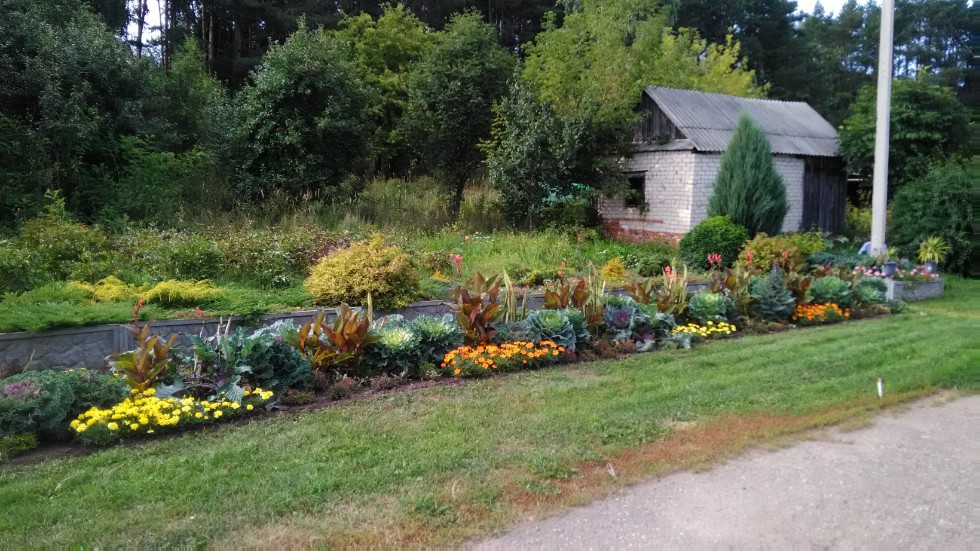 ���������� ��������