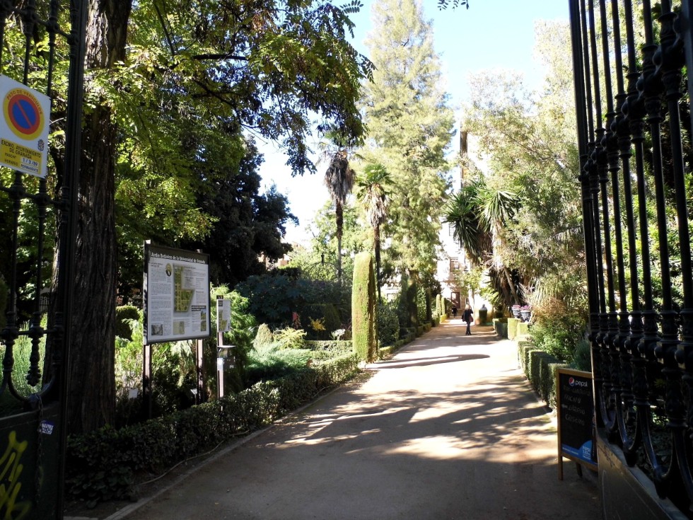 ������� ���������: ����� �������� �����