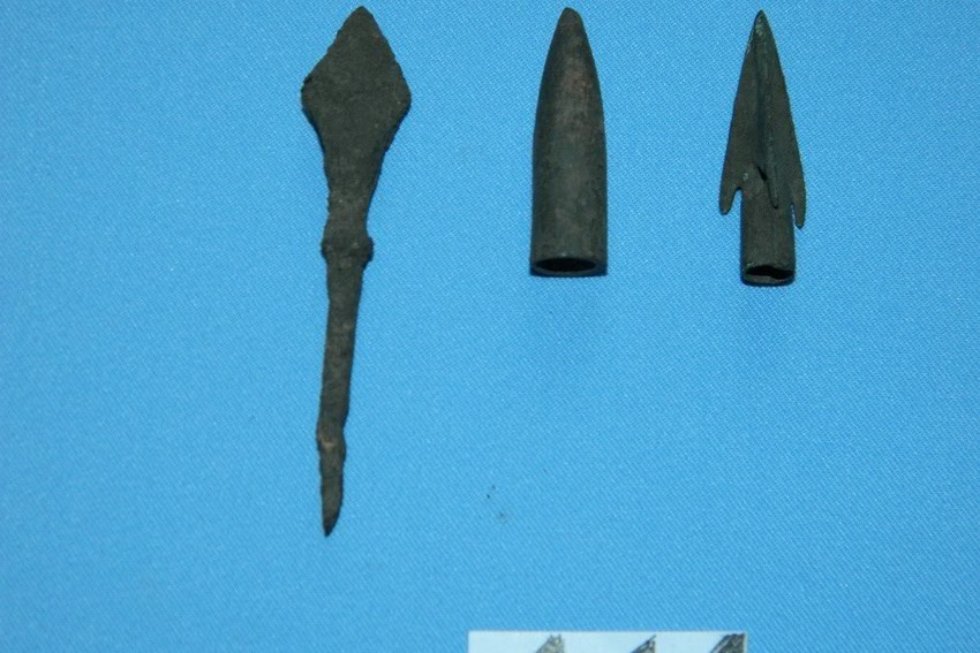 �� ���������� �������� ������� ���������� ���������