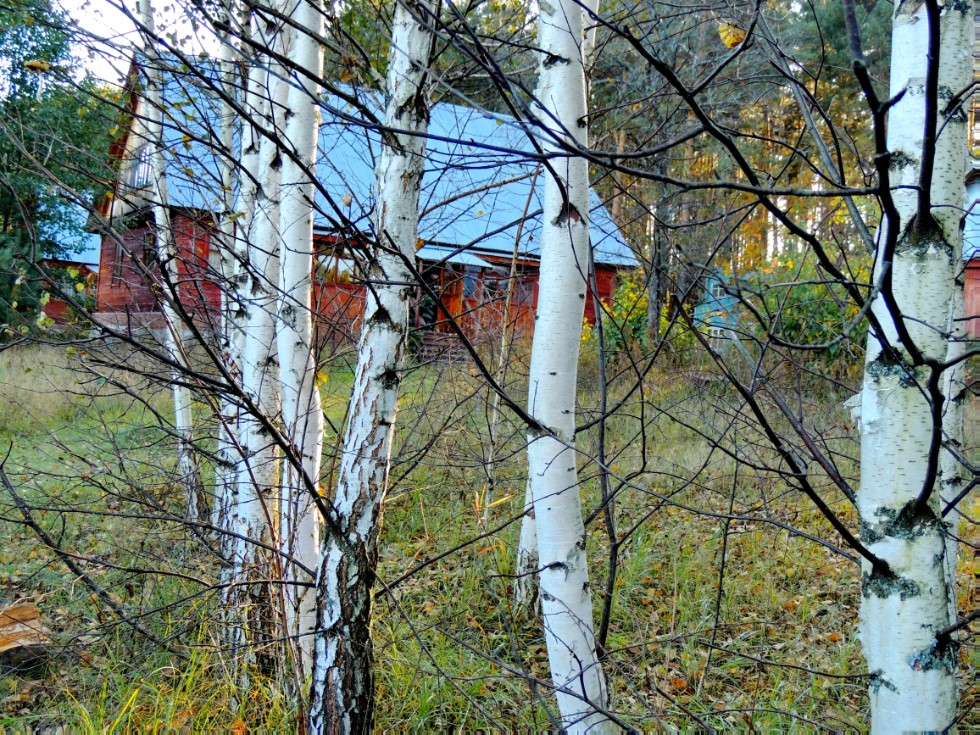 ������-��������������� ����� '������'