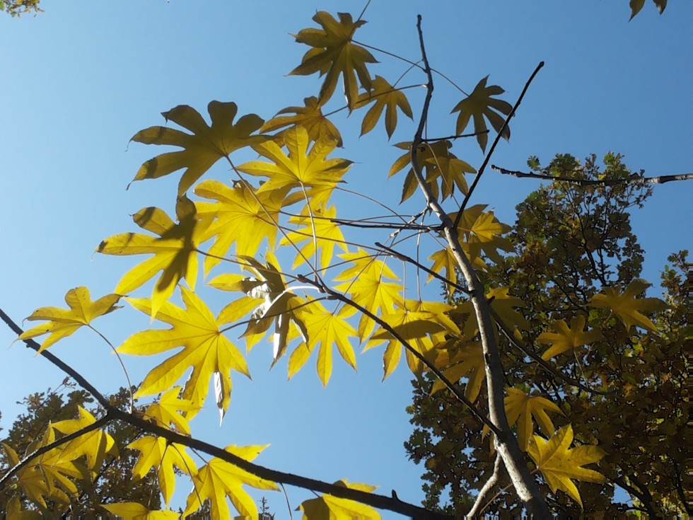 ���������� ��������