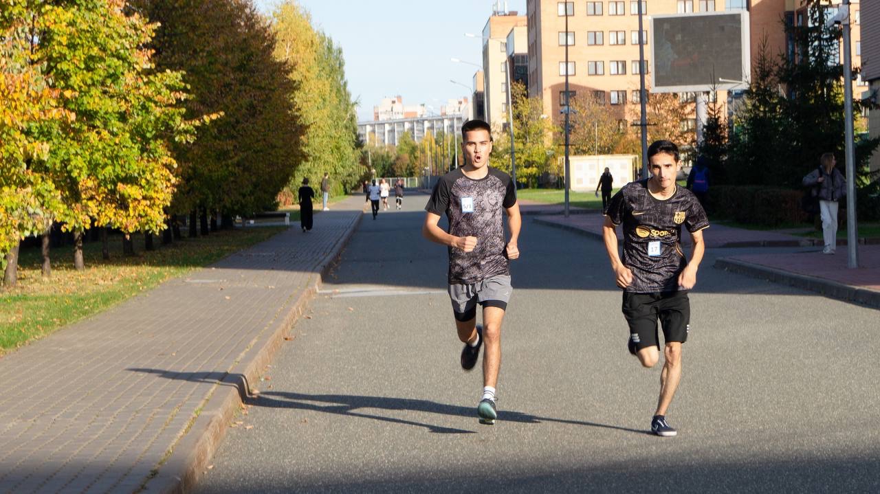 ������� ����� � ������� �����������: ���������� ���������� � ������������ �������� ,�����, �����, ������