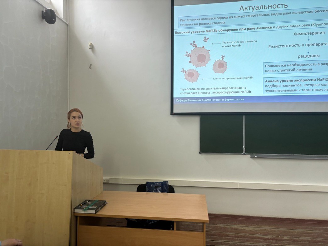 ���� ����� 2024