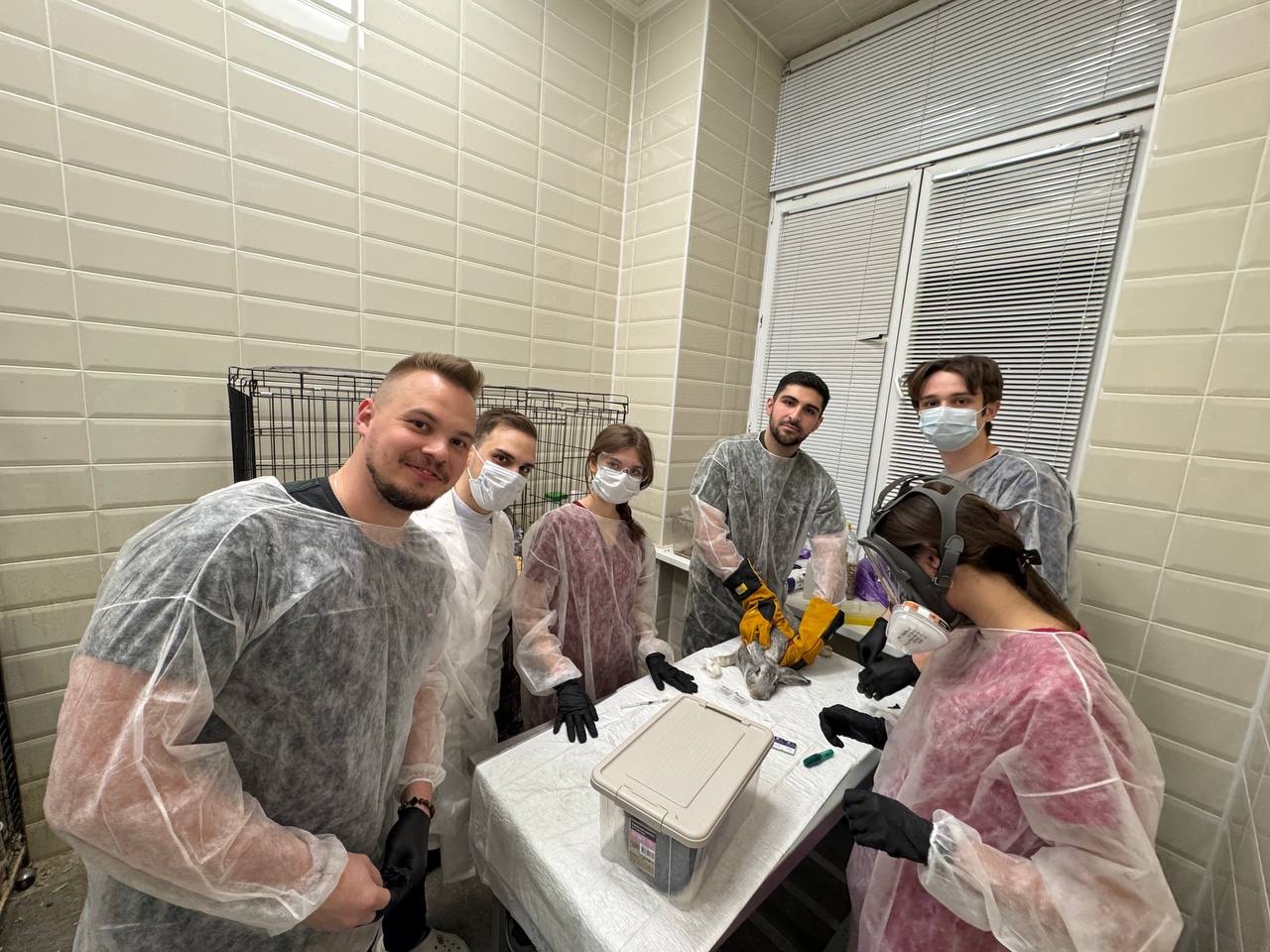 �� ���� WETLAB ����������� ������������ ������������� ������������� ���������� ��� ������� ���������� �� �������� ,������������ �����, ������, �����������