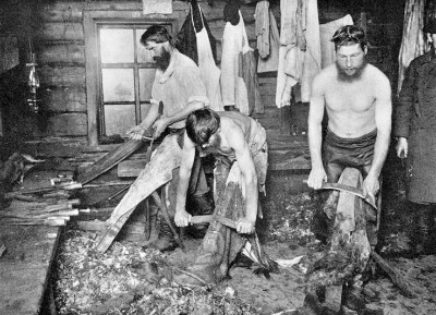 �������� ����� � ������