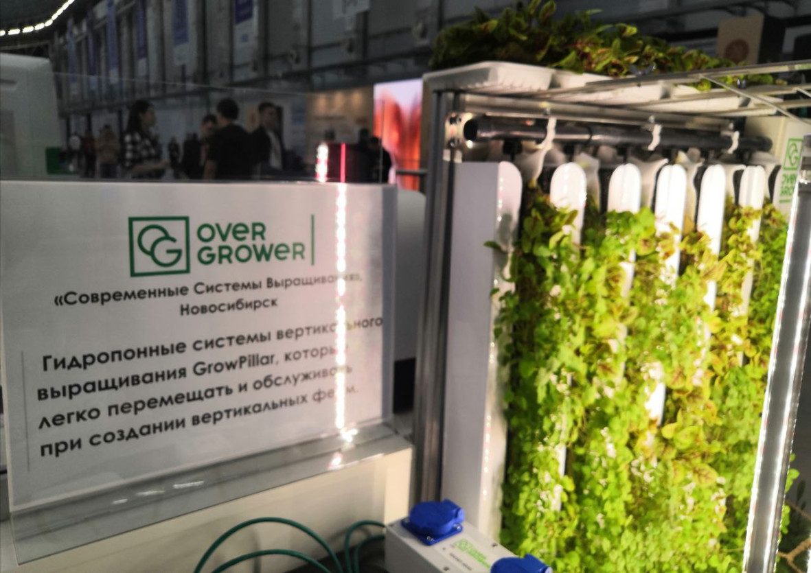 ������� � III ��������� ������� ������