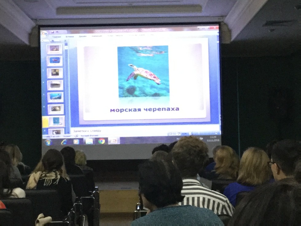 �����������. ������� ������� � ������� ���������