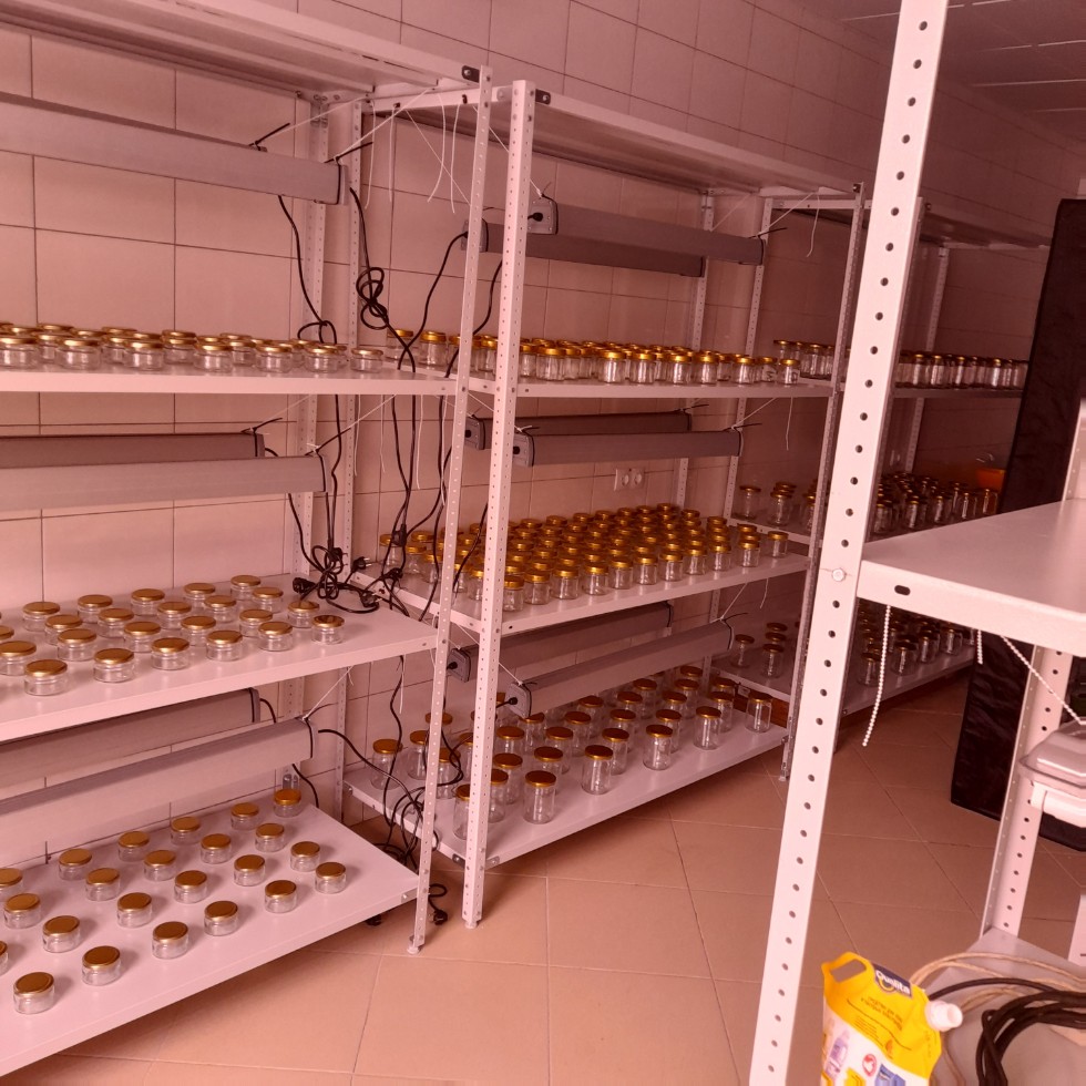 Научная работа. Научная работа.