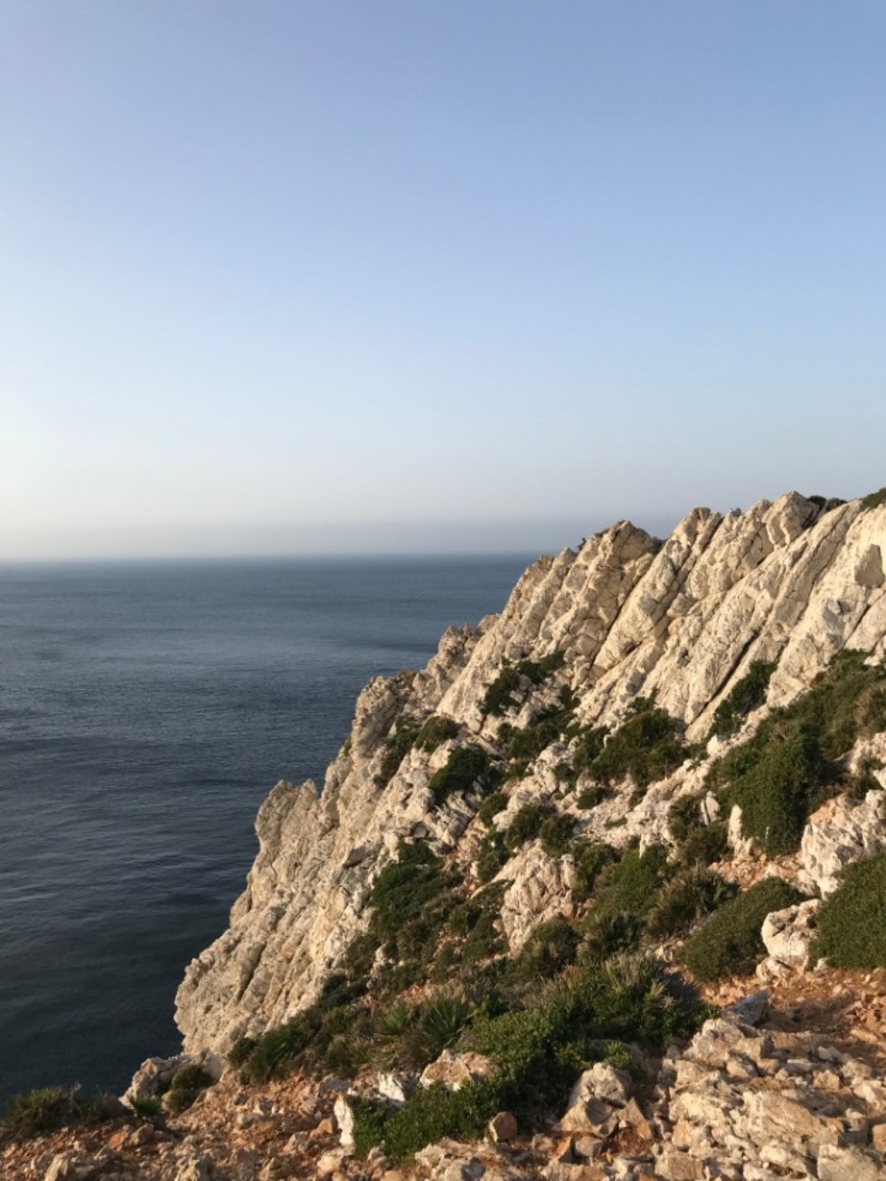 ������������� ������������ ��������� �� ��������� �����