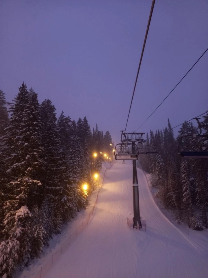 ����������� ������ '�������'