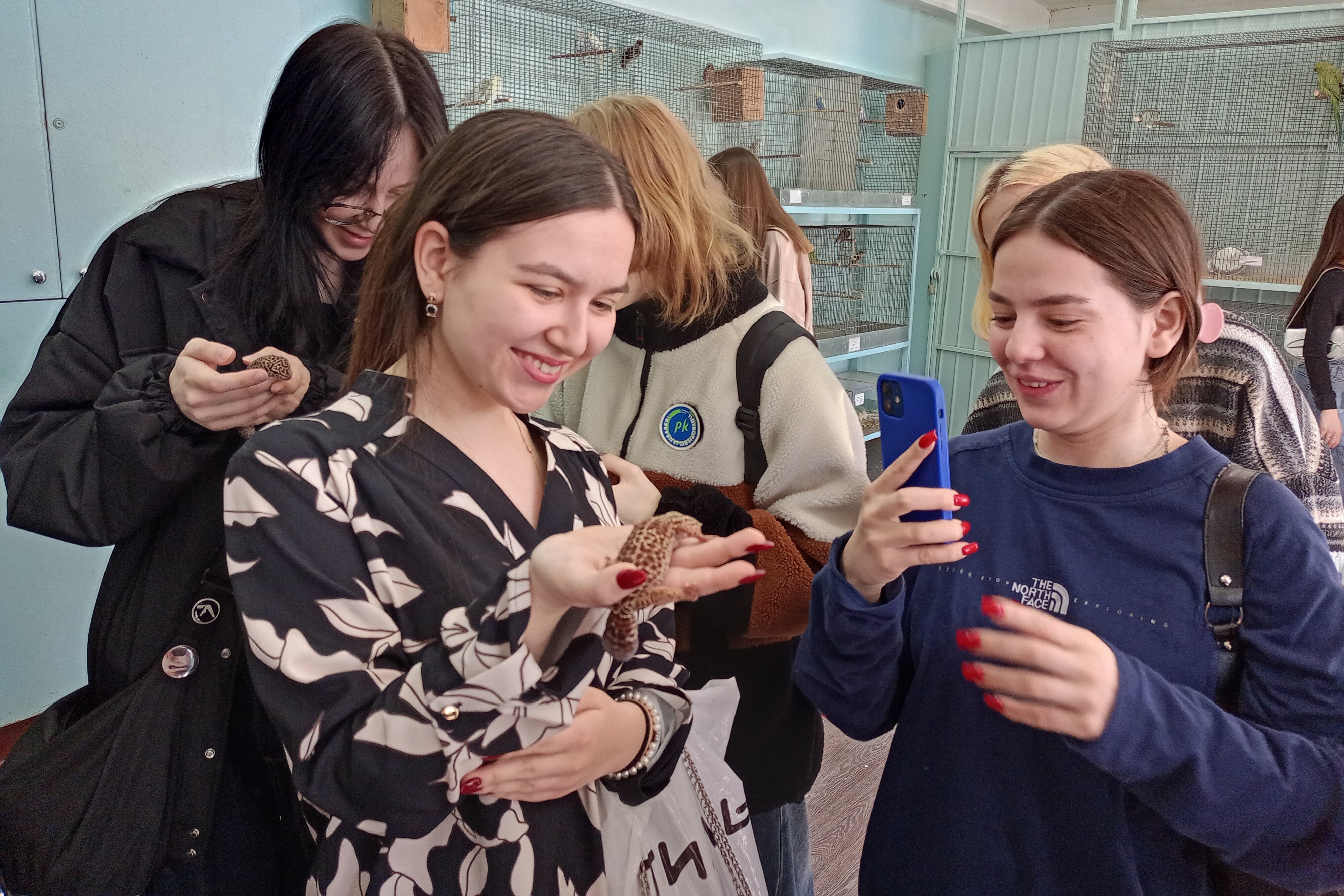 �������� ��� �������� �������-������������� �����