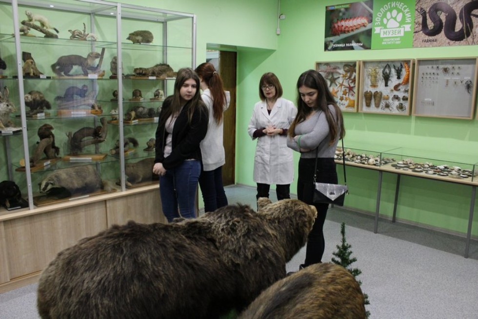 ��������������� ������� ����������� ���������� �� �������� - 2019