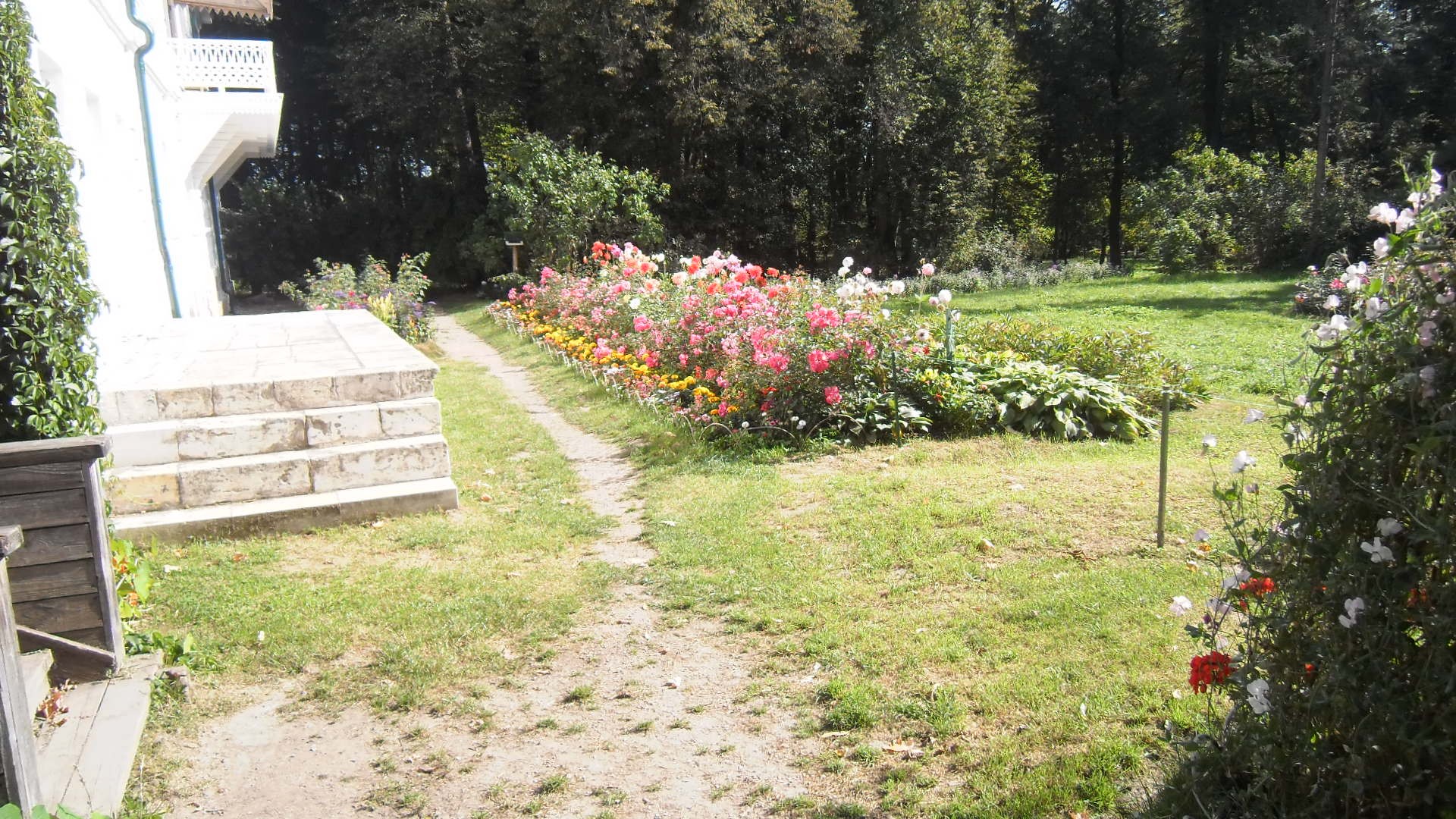 ��� �� �������� �������� ���� ��������