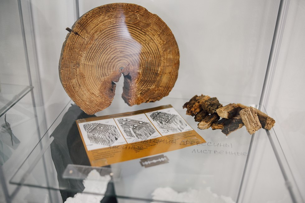 Коллоквиум молодых реставраторов ResCon-2019 начал работу в ИМО КФУ Коллоквиум молодых реставраторов ResCon-2019 начал работу в ИМО КФУ