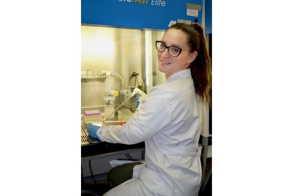 Магистратура: Медицинская химия Магистратура: Медицинская химия