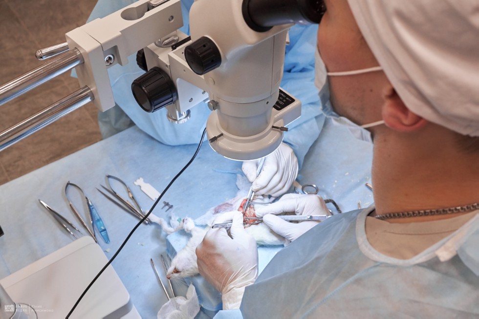 Фотоальбом Фотоальбом