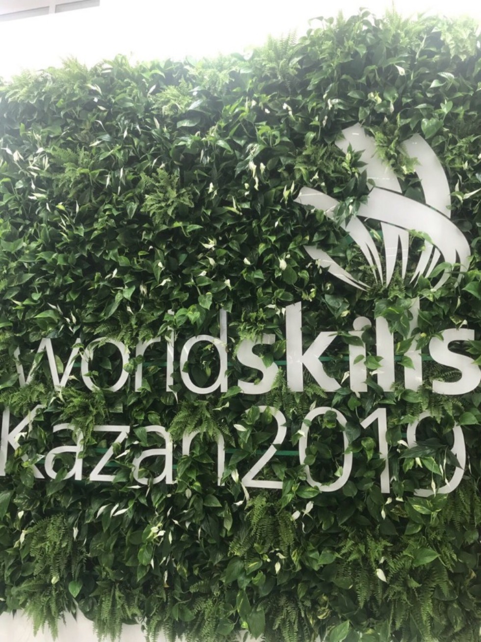      Worldskills-2019 ,, ,   Worldskills-2019