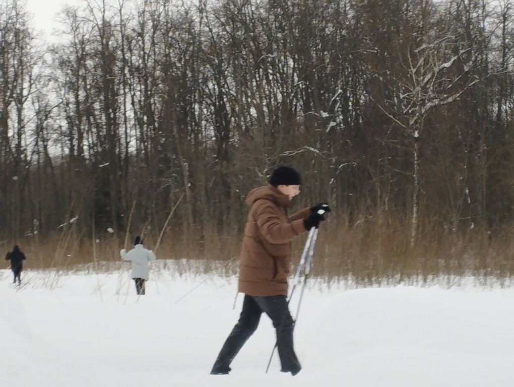 ������ �������� �� ���������� ������������