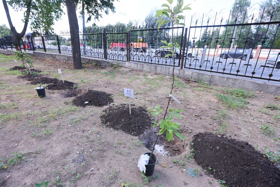 Apple orchard planted to celebrate first graduation of medical doctors in 88 years Apple orchard planted to celebrate first graduation of medical doctors in 88 years