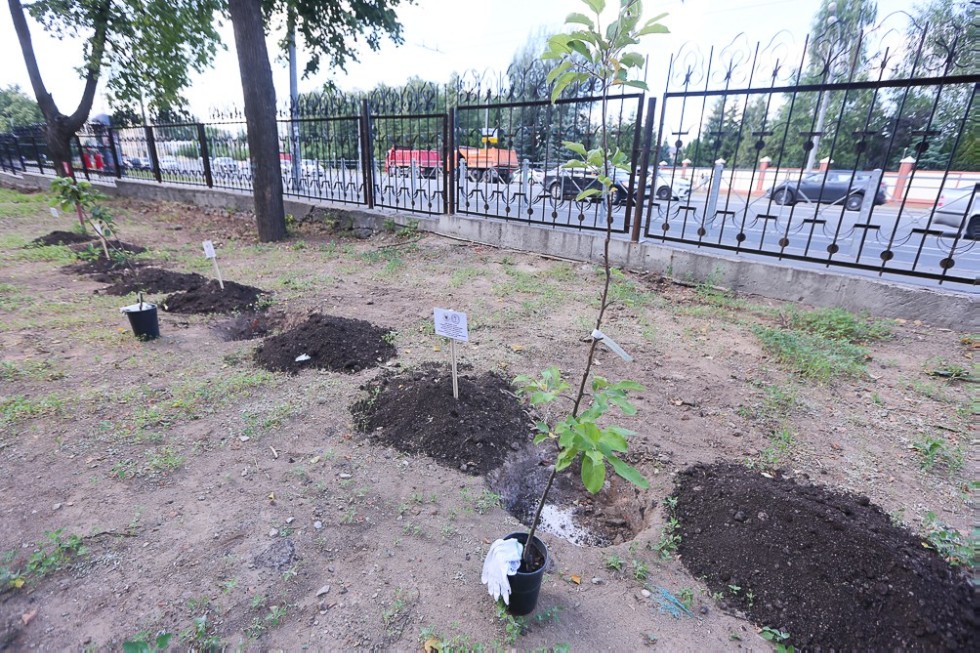 Apple orchard planted to celebrate first graduation of medical doctors in 88 years