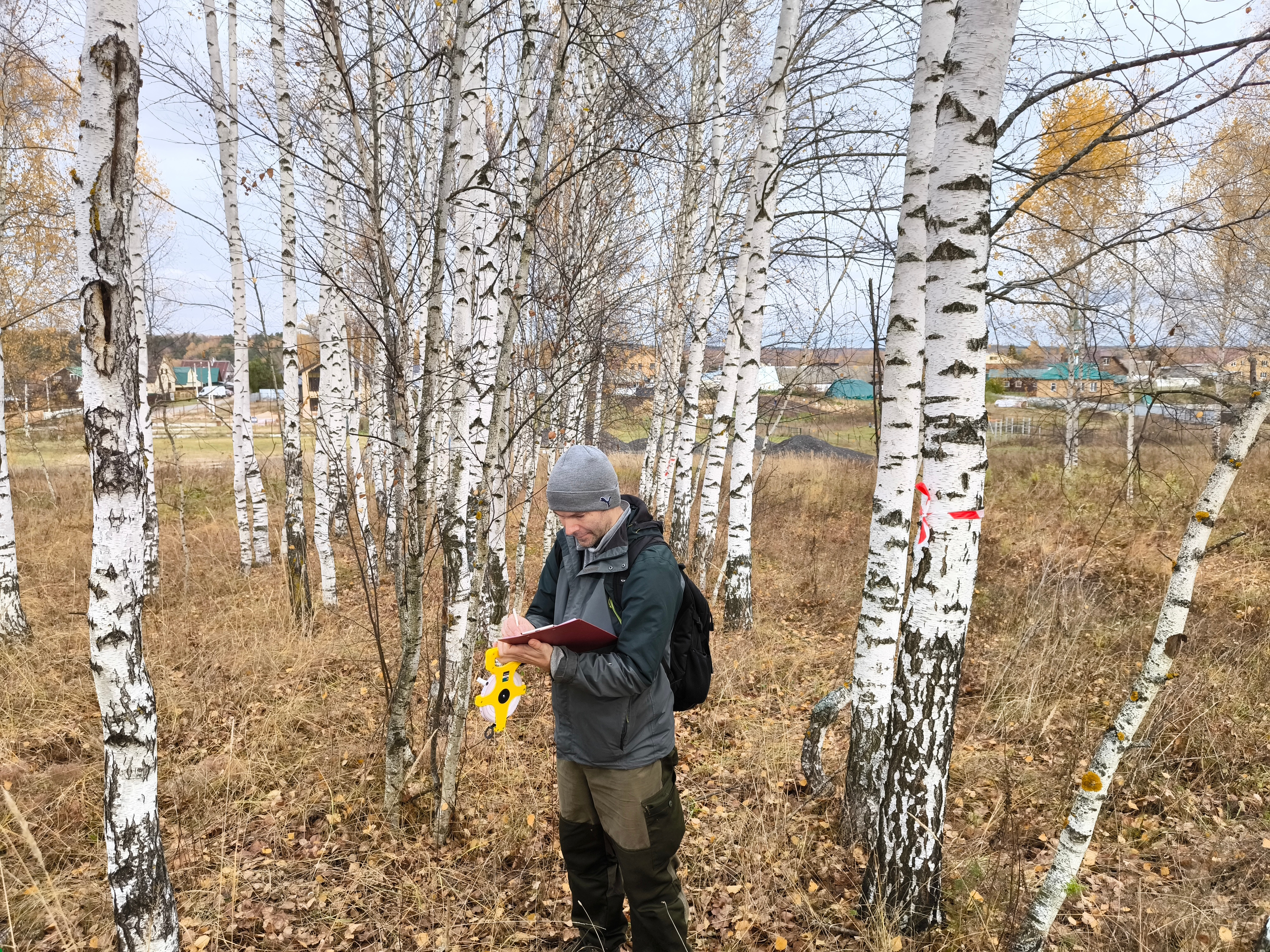 Оценка скорости прироста биомассы разновозрастных лесополос Оценка скорости прироста биомассы разновозрастных лесополос